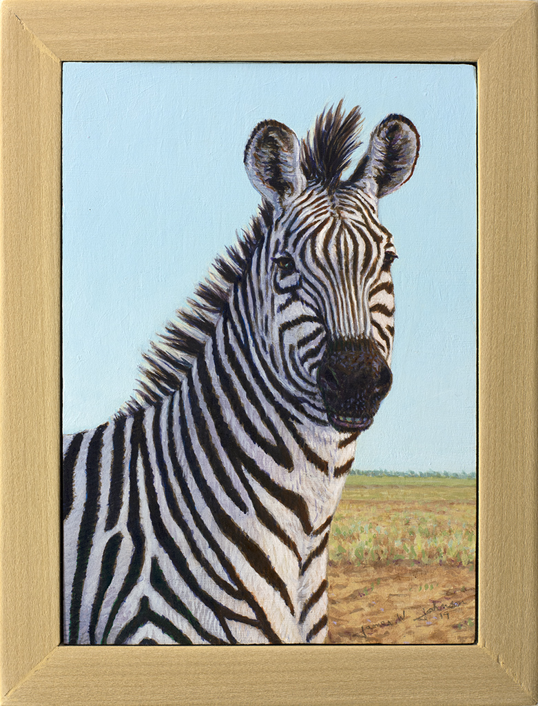 Study of a Zebra